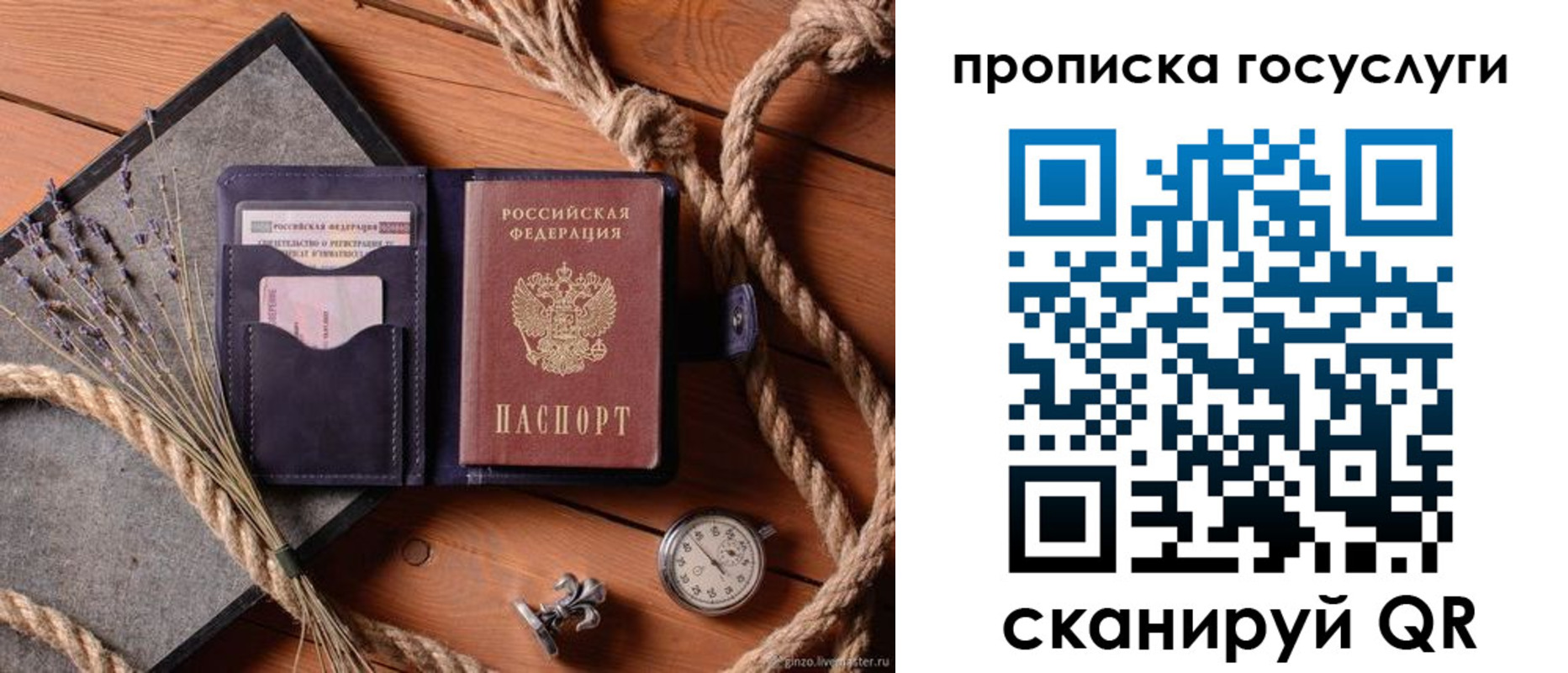 прописка поиск в Пензе
